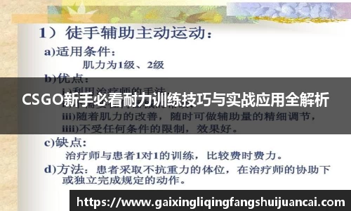 CSGO新手必看耐力训练技巧与实战应用全解析