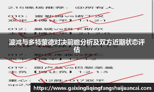 波鸿与多特蒙德对决前瞻分析及双方近期状态评估