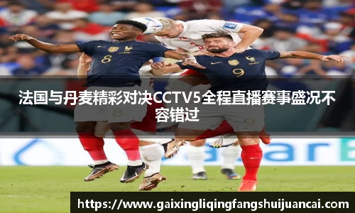 法国与丹麦精彩对决CCTV5全程直播赛事盛况不容错过