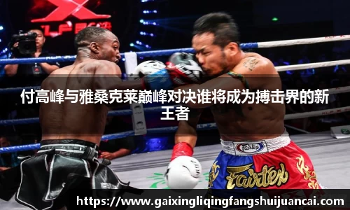 付高峰与雅桑克莱巅峰对决谁将成为搏击界的新王者