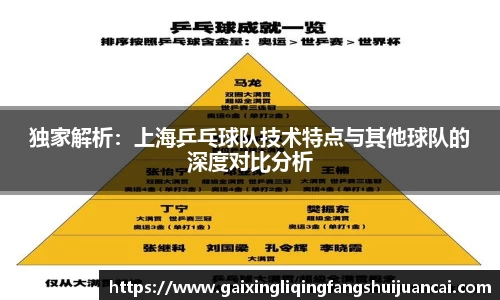 独家解析：上海乒乓球队技术特点与其他球队的深度对比分析
