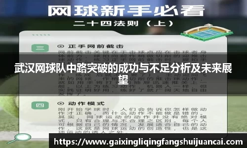 武汉网球队中路突破的成功与不足分析及未来展望